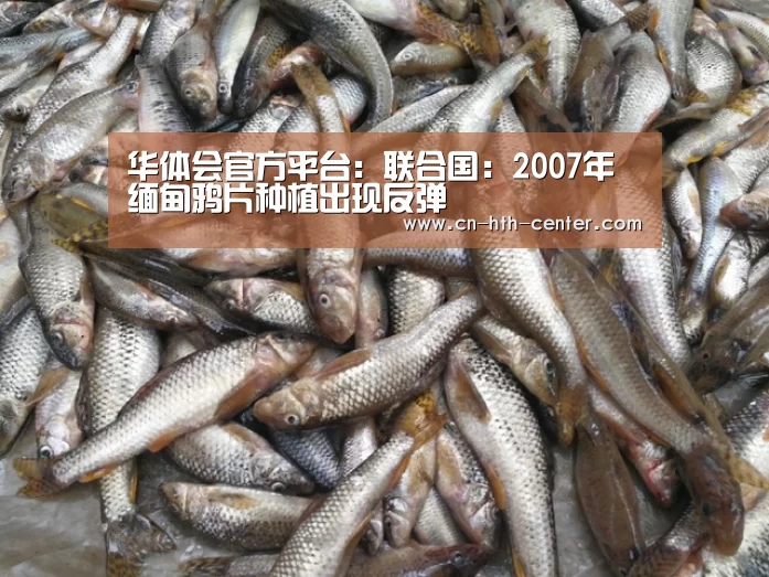 华体会官网下载