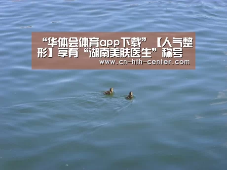 华体会官网下载